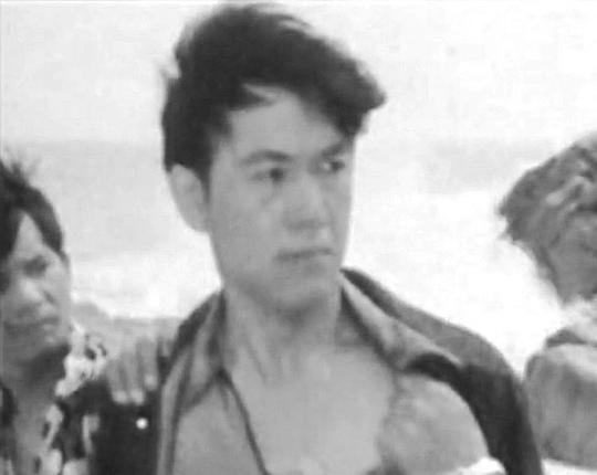 马爱平 Aiping Ma