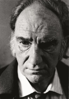 费尔南多·费尔南·戈麦斯 Fernando Fernán Gómez