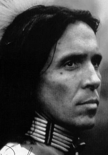 唐·山克斯 Don Shanks