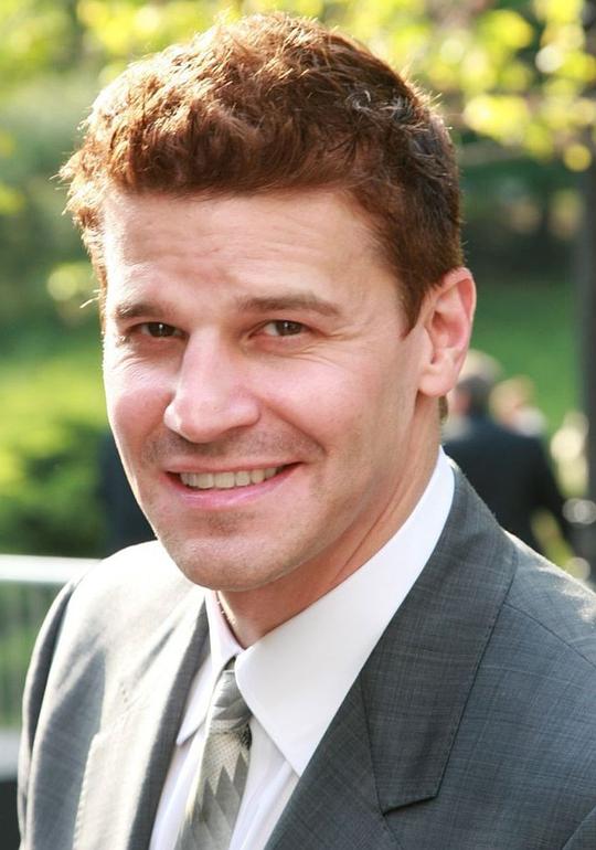 大卫·伯伦纳兹 David Boreanaz