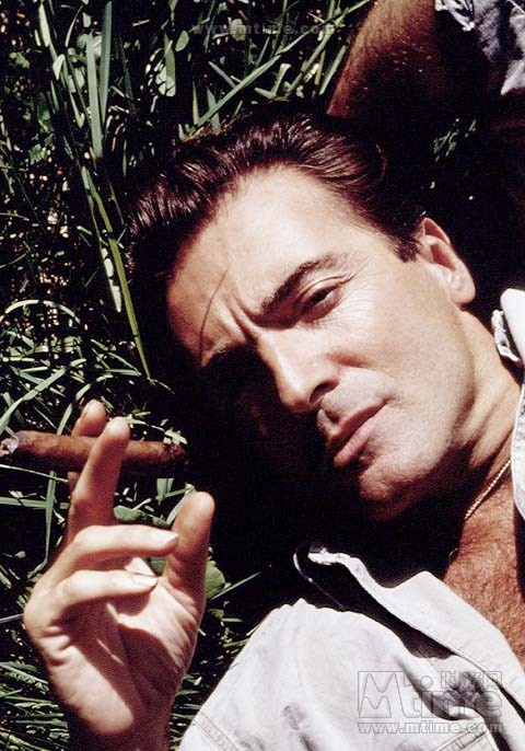 阿曼德·阿桑特 Armand Assante