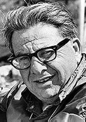 马丁·里特 Martin Ritt