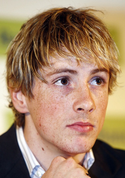 费尔南多·托雷斯 Fernando Torres