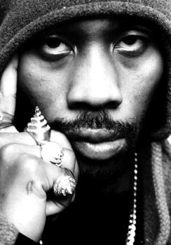 罗伯特·菲茨杰拉德·迪格斯 RZA