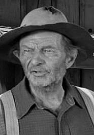 威廉·福西特 William Fawcett