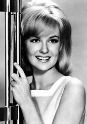 谢莉·法芭勒斯 Shelley Fabares