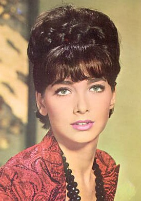 苏珊娜·普莱舍特 Suzanne Pleshette