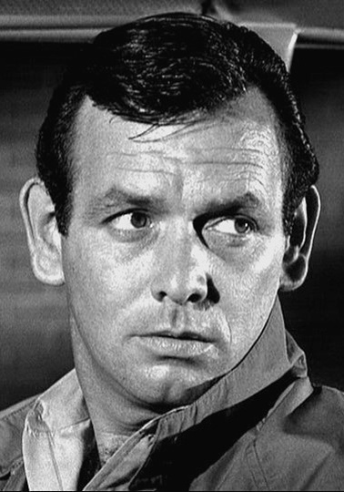 大卫·简森 David Janssen