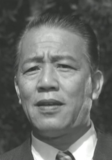 王引 Yin Wang