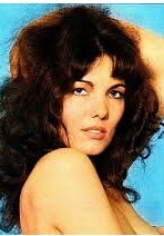 维勒克·范阿梅尔罗伊 Willeke van Ammelrooy