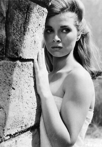 希拉·加贝尔 Scilla Gabel