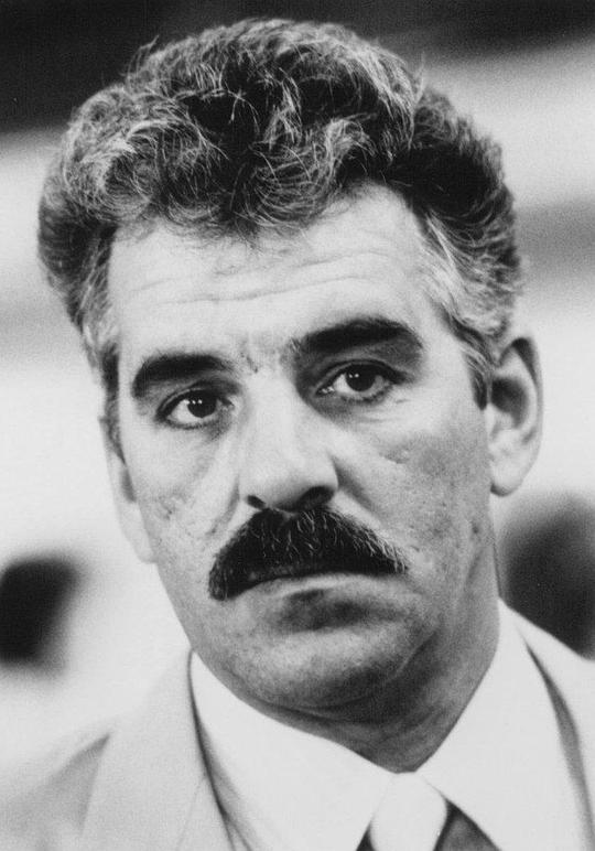 丹尼斯·法里纳 Dennis Farina