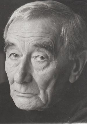 维尔纳·迪塞尔 Werner Dissel