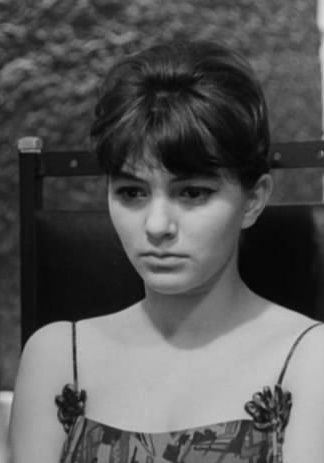 伊特卡·泽莱诺霍尔斯卡 Jitka Zelenohorská