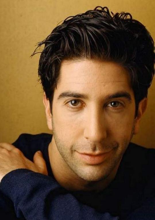 大卫·休默 David Schwimmer