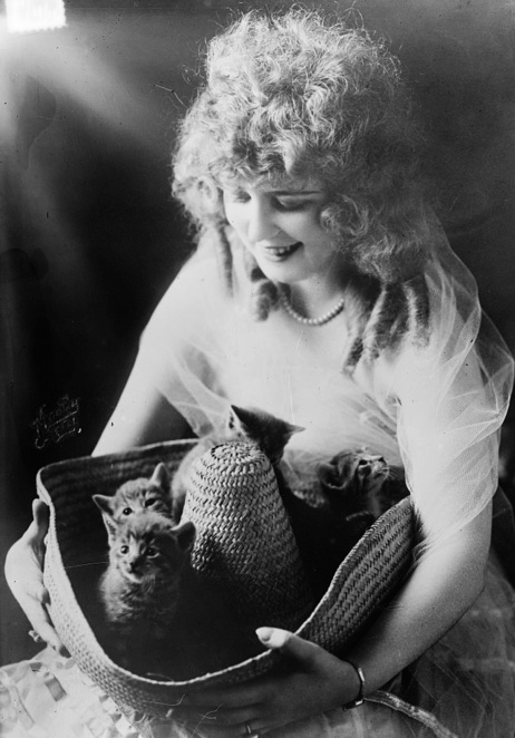 Alma Hanlon Alma Hanlon