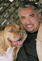 西泽·米兰 Cesar Millan