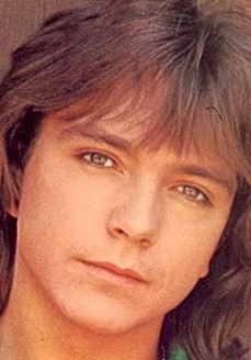 大卫·卡西迪 David Cassidy