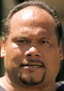 西德尼·S·柳法 Sidney S. Liufau