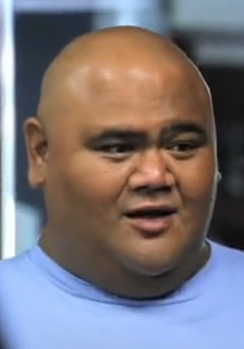 泰勒·维利 Taylor Wily