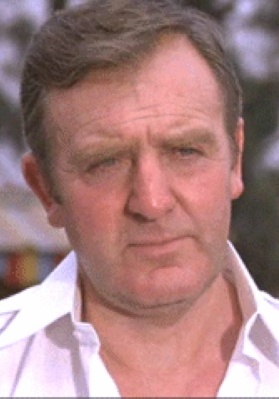 格林·休斯顿 Glyn Houston