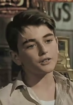 罗伯特·J·安德森 Robert J. Anderson