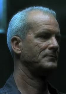 迈克尔·肖姆斯·维尔斯 Michael Shamus Wiles