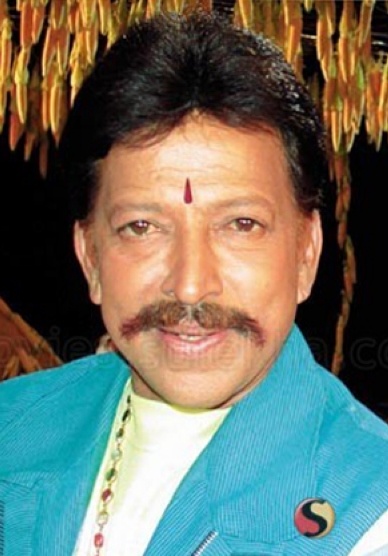 维西那波尔坦 Vishnuvardhan