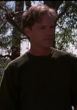 斯蒂夫·巴塞特 Steve Bassett