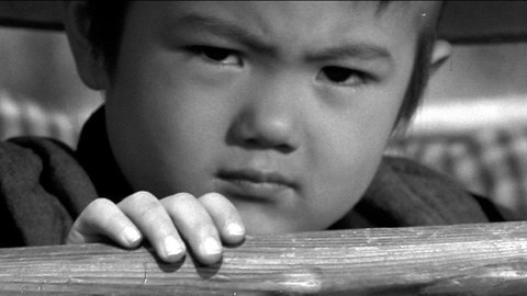 富川晶宏 Akihiro Tomikawa