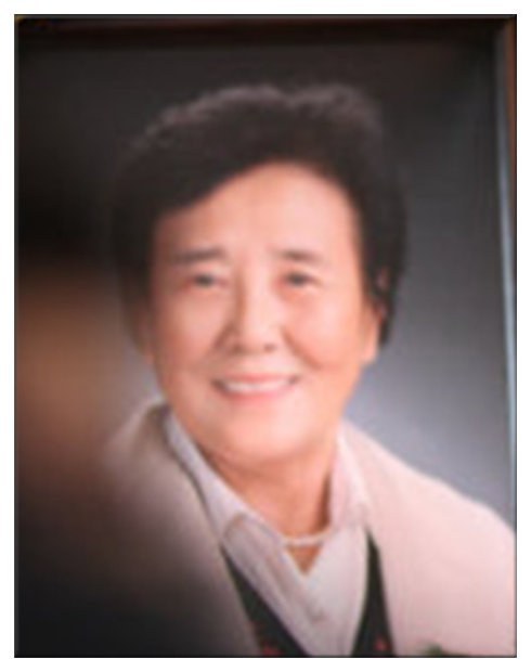 珠兰琪琪柯 Zhulanqiqike