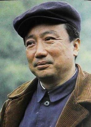 王岚 Lan Wang