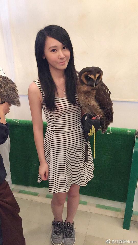 沈爱琳 Helen Shum