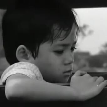 郑枫 Trịnh Phong