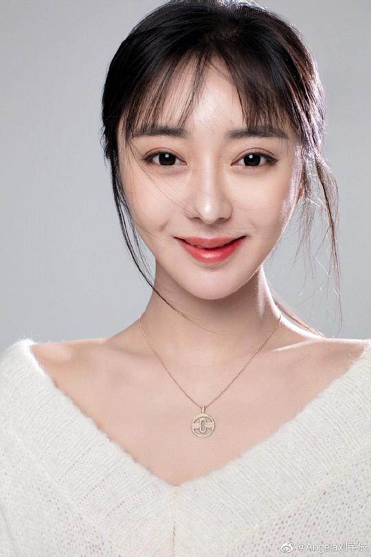 刘芊辰 Qianchen Liu