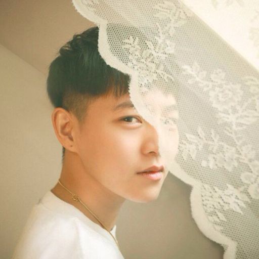 陈清銮 Meehz Chen