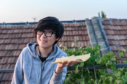 张平 Ping Zhang