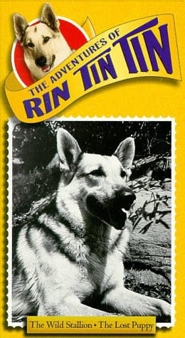 Rin Tin Tin II Rin Tin Tin II