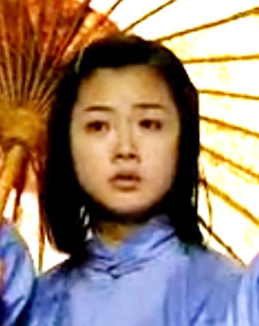 陈虹 Hong Chen
