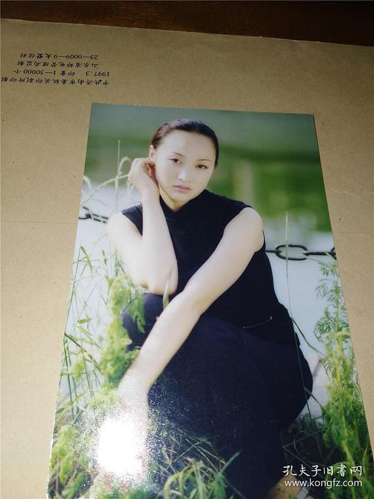 盖奕 Yi Gai