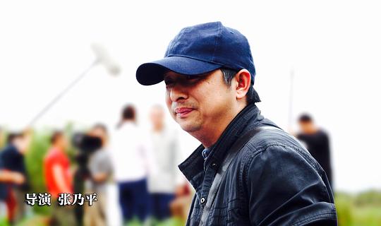张乃平 Naiping Zhang