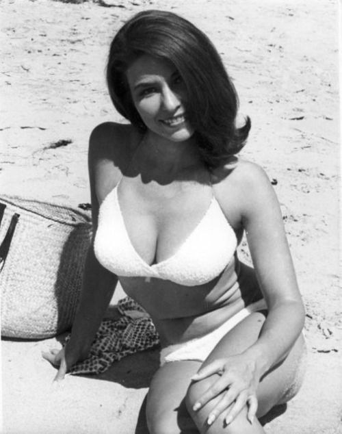 Sally Frei Sally Frei