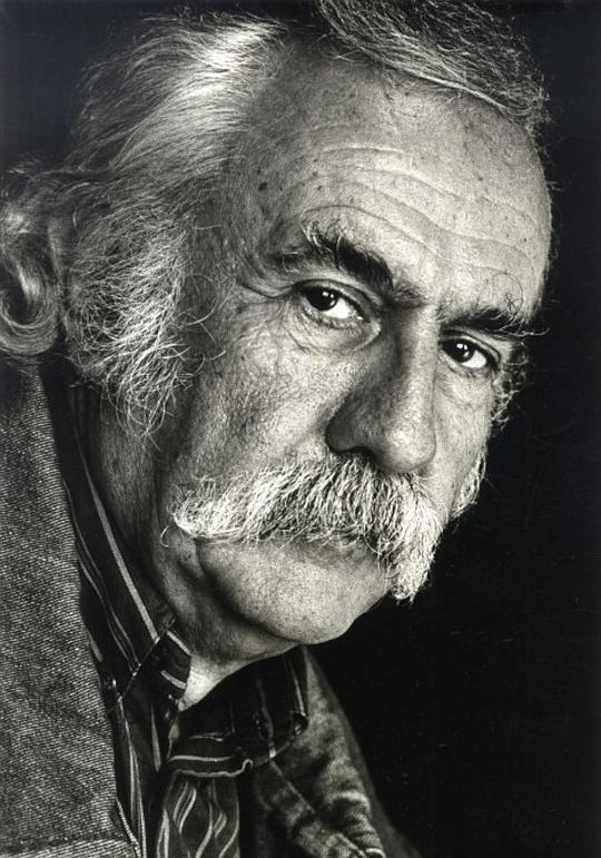日沃因·帕夫洛维奇 Zivojin Pavlovic