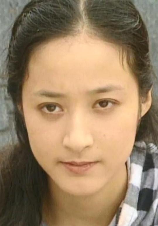 刘英华 Yinghua Liu