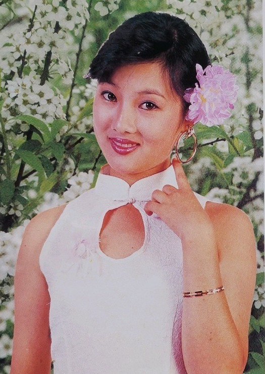 朱淼 Miao Zhu