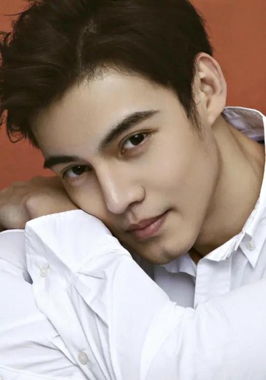 刘述 Shu Liu