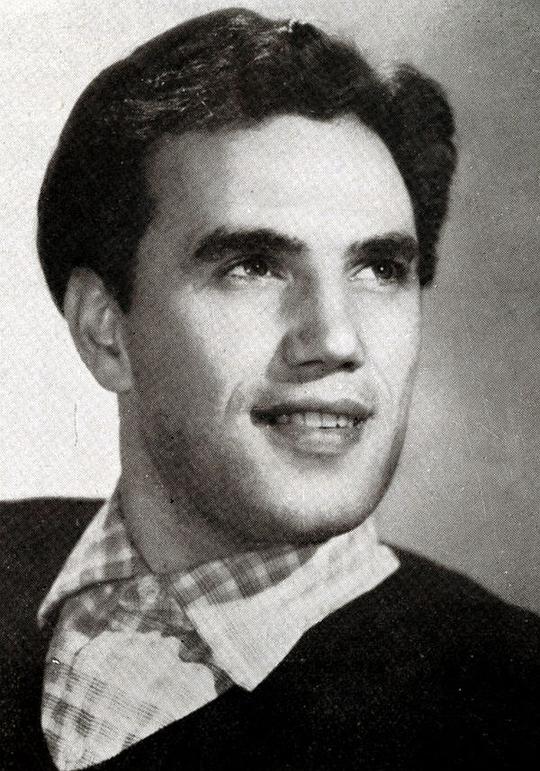 雷纳托·泰拉 Renato Terra