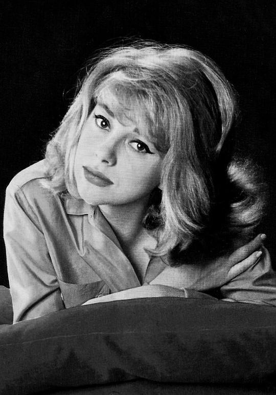 米蕾叶·达尔克 Mireille Darc