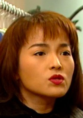 何美好 Mei-Hou Ho