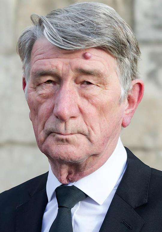 伊恩·吉尔斯 Ian Giles